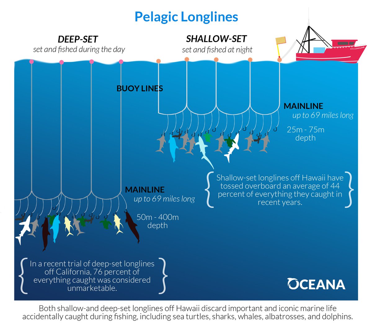 oceana's tweet image. Keep dolphins off the hook! Add your name NOW to say NO to Pacific longlines. bit.ly/2o6yMLk