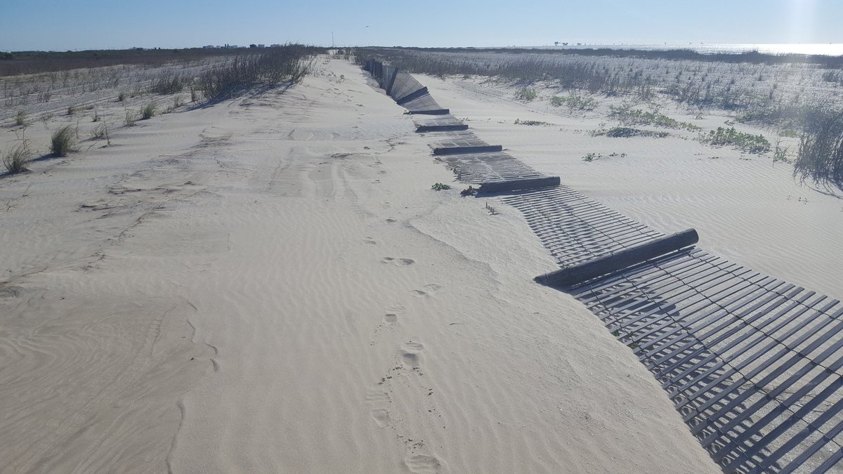 Erik_I_Johnson's tweet photo. Dune fencing traps sand. Broken dune fencing is a #slacker. #sandproblems #erosion #theworldneedsmorelouisiana https://t.co/Uco8Yciu9H