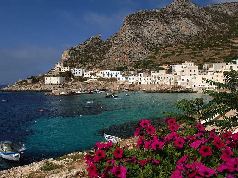 EgadiEscursioni's tweet photo. #losapeviche...? sull'isola di levanzo sono presenti più di #400 specie di #piante, molte #tipiche del territorio...tra cui anche i #funghi! https://t.co/72uP8SwB67