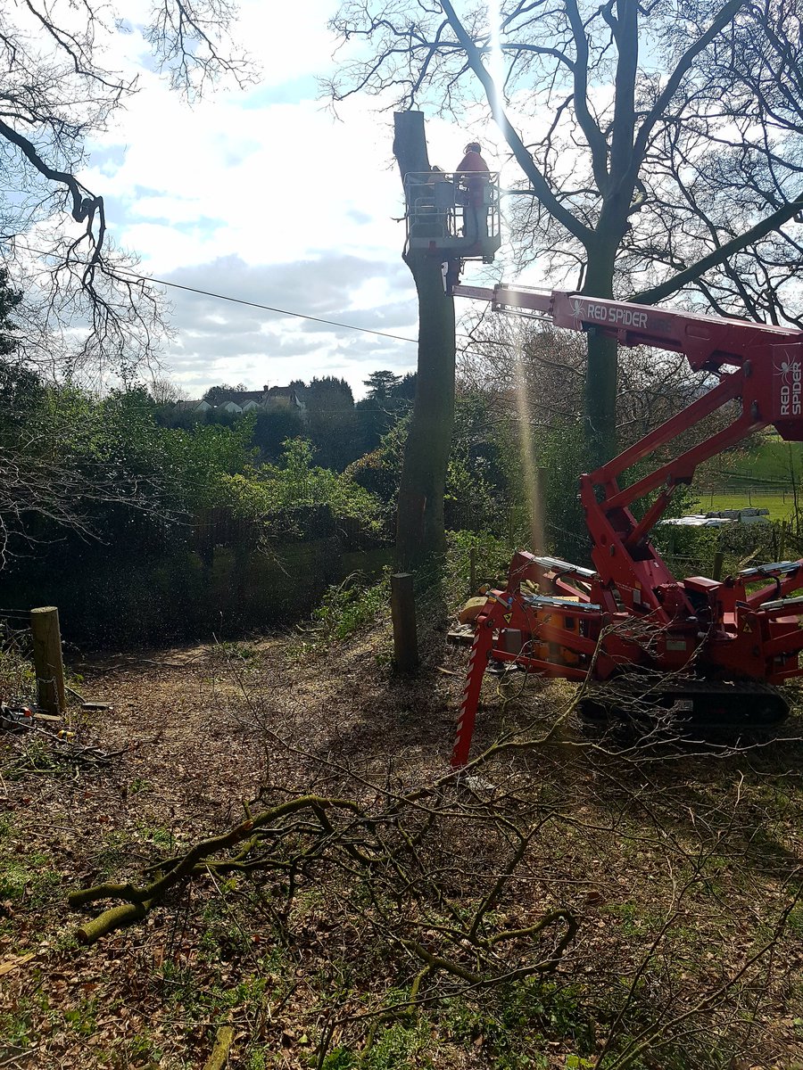 malvernlocal's tweet photo. RT @redspiderhire: Tree surgery work in the countryside of #Worcestershire 
 https://t.co/jjFjmYy4XX