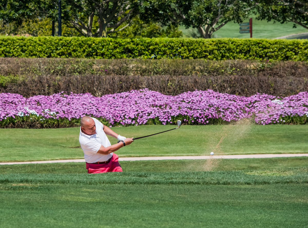 GolfPhotograph's tweet photo. It's the Masters and Alcanada presents itself in Augusta colors-spectacular! @TheMasters @golfalcanada @FBalearGolf https://t.co/exAWeA5caJ