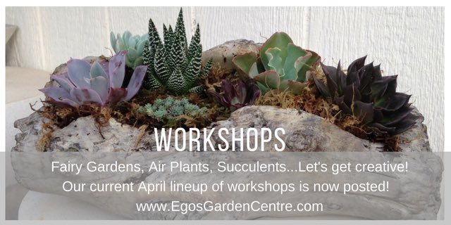Get creative in April... make and take #workshops