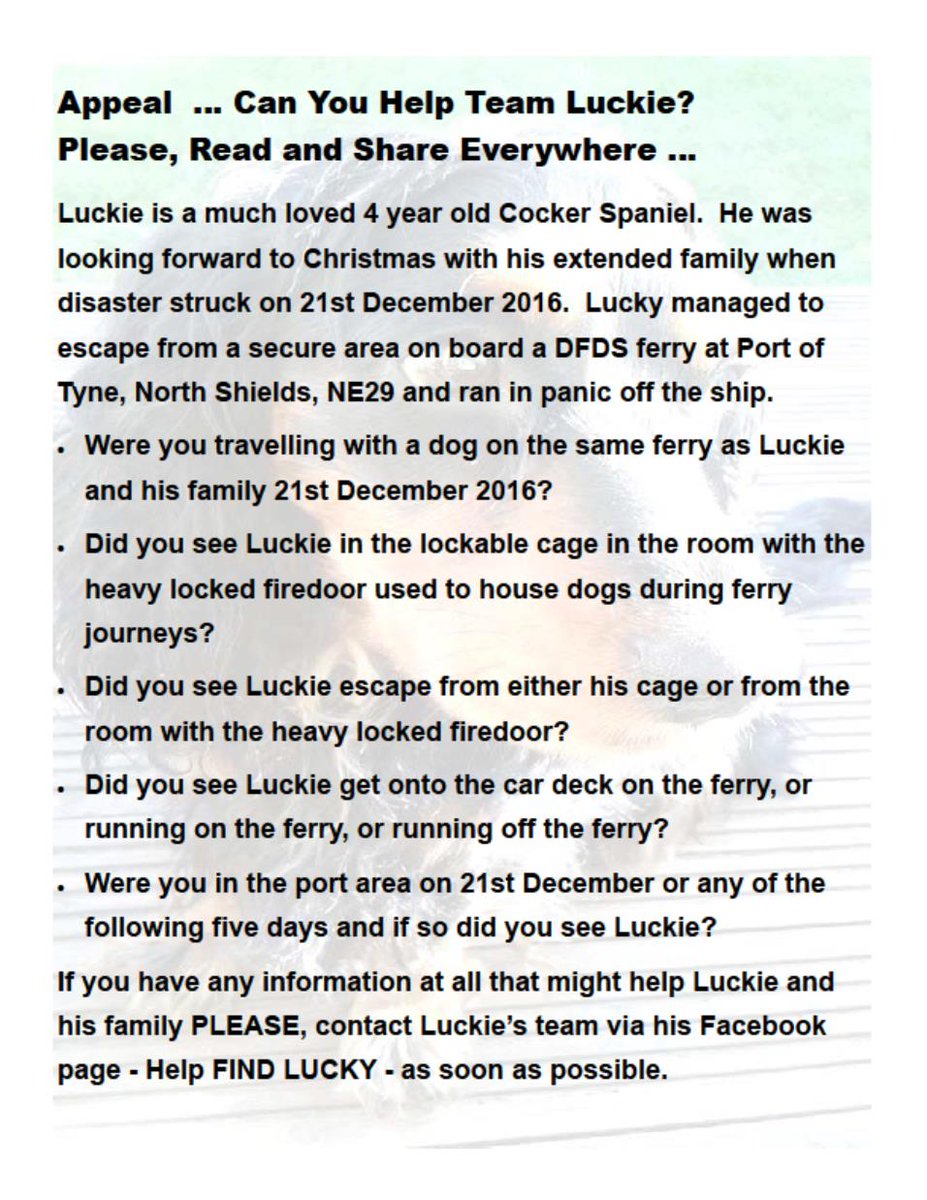 HelpFindLucky's tweet photo. APPEAL💔PLEASE Read/Share/RT Everywhere‼
Were You On #DFDS Ferry #NorthShields to #Ijmuiden #Amsterdam 21/12/16❓Contact Us #HelpFindLuckie🐕 https://t.co/bHzR6bIyjN