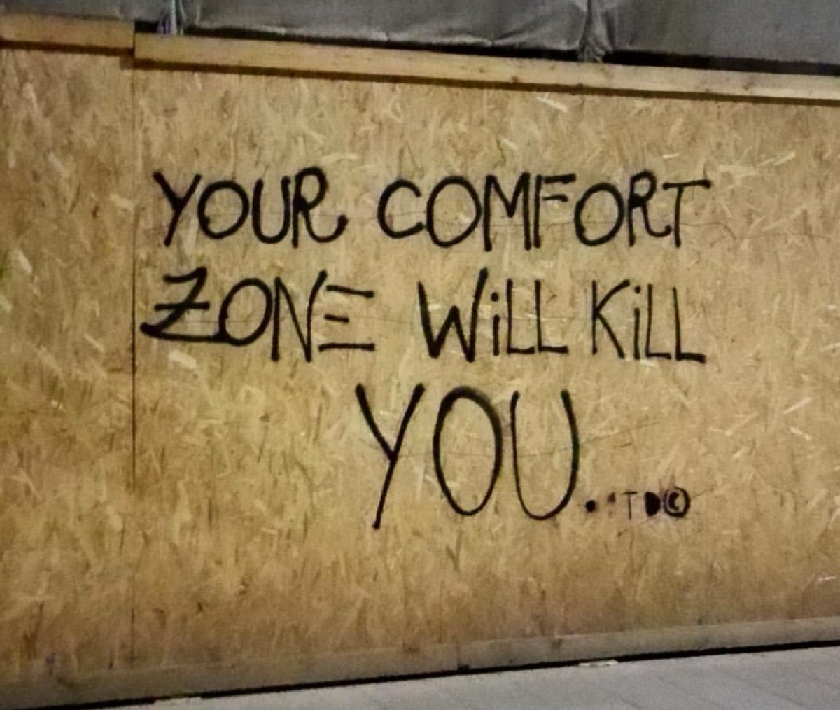 Nicola Favini Your Comfort Zone Will Kill You Ed E Tutto
