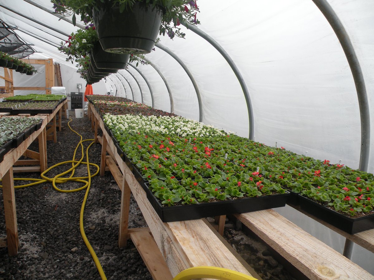 ErieCoSheriff's tweet photo. Evidence spring/summer is coming, Inmate Horticultural Program @ correctional facility already growing flowers &amp; veggies. https://t.co/L7QXKZyGxf