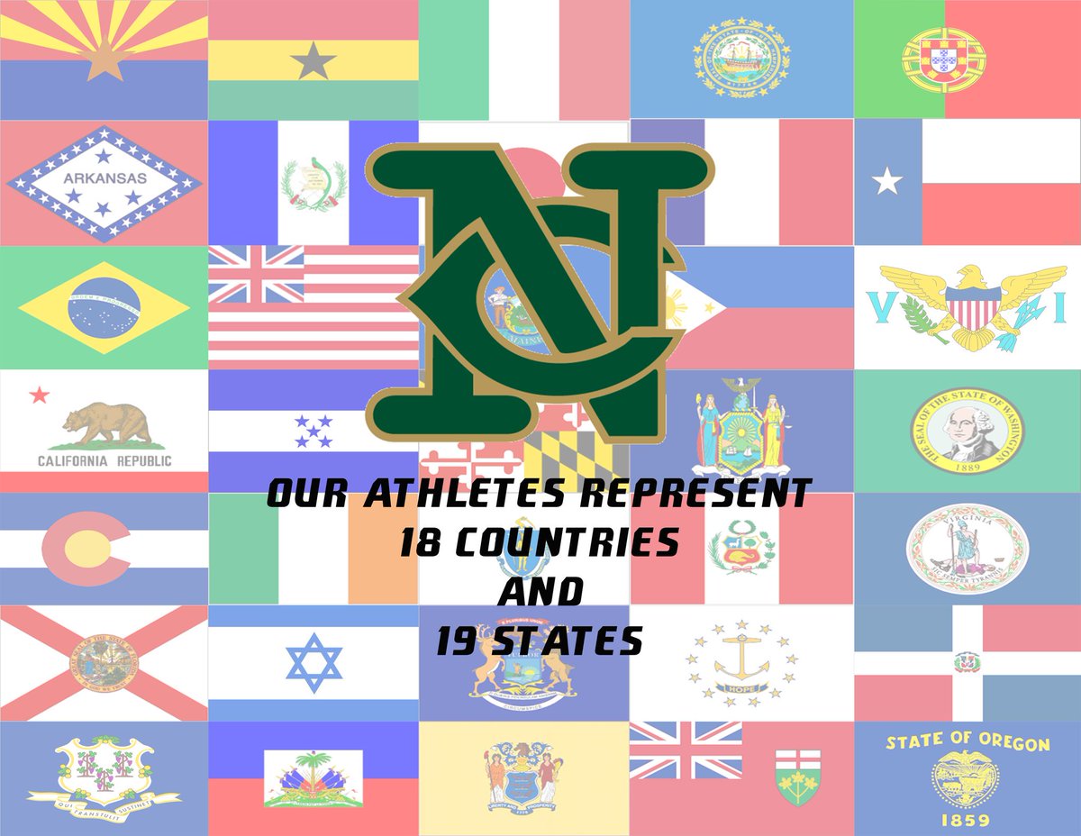 NCNighthawkNews's tweet photo. We bring #NewburyD3Week to a close by celebrating #NCAAInclusion We are proud of the diversity we have on campus!  #NCAAD3 https://t.co/ngDuPtWMhA