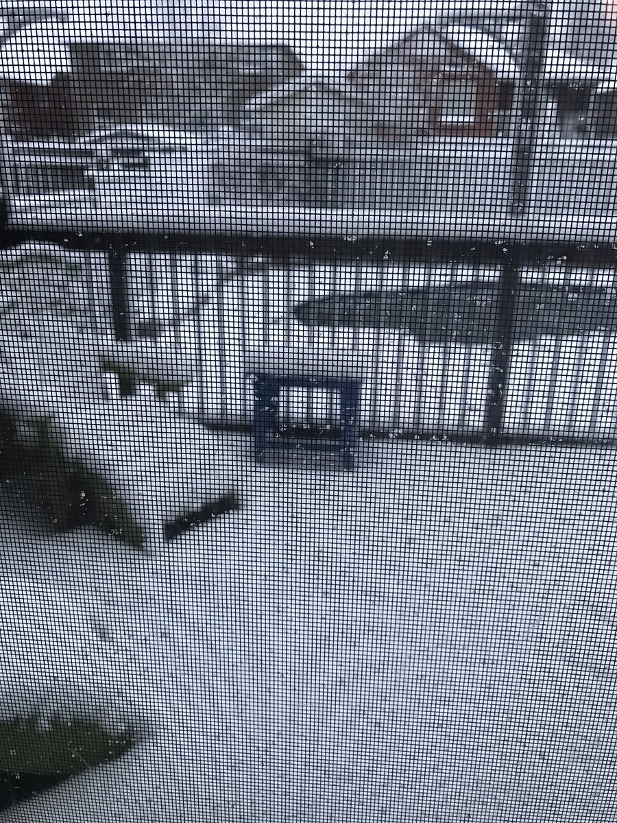 martinpiche's tweet photo. Waking up to a winter wonderland this morning - what's this all about!!! https://t.co/JN9mqKbnRw