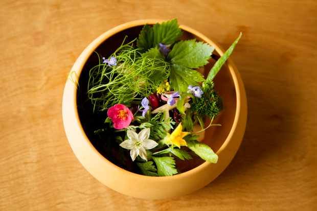 If we were designing our fantasy pub it would look a lot like <a href="/mashinnbucks/">The Mash Inn</a>. Read all about it here: buff.ly/2nkHlDr #gastropub