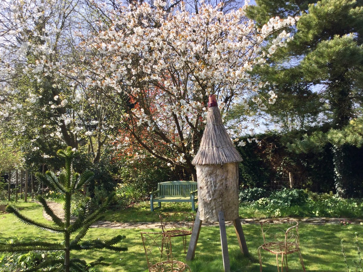 NaturalBeeTrust's tweet photo. We don't have far to go for food 🌼🌸🐝🐝🐝
#loghive
#flowersforbees
#nestingplace https://t.co/5j9XqMia4B