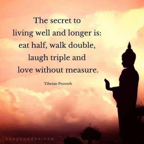 Tracey_is_here's tweet photo. I am no body but I have found the answer...to living well &amp; longer 😃 https://t.co/s1zVYD6gsW