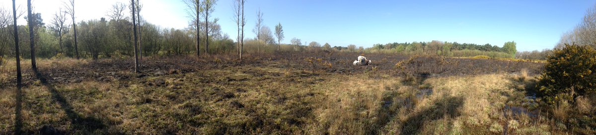 ElliottFairs's tweet photo. Dramatic results of yesterday evenings #wildfire on #Pondtail Heath.  @TBHPartnership @JA_Eyre @JonoShavelar @essexforester https://t.co/uarjzyP71U