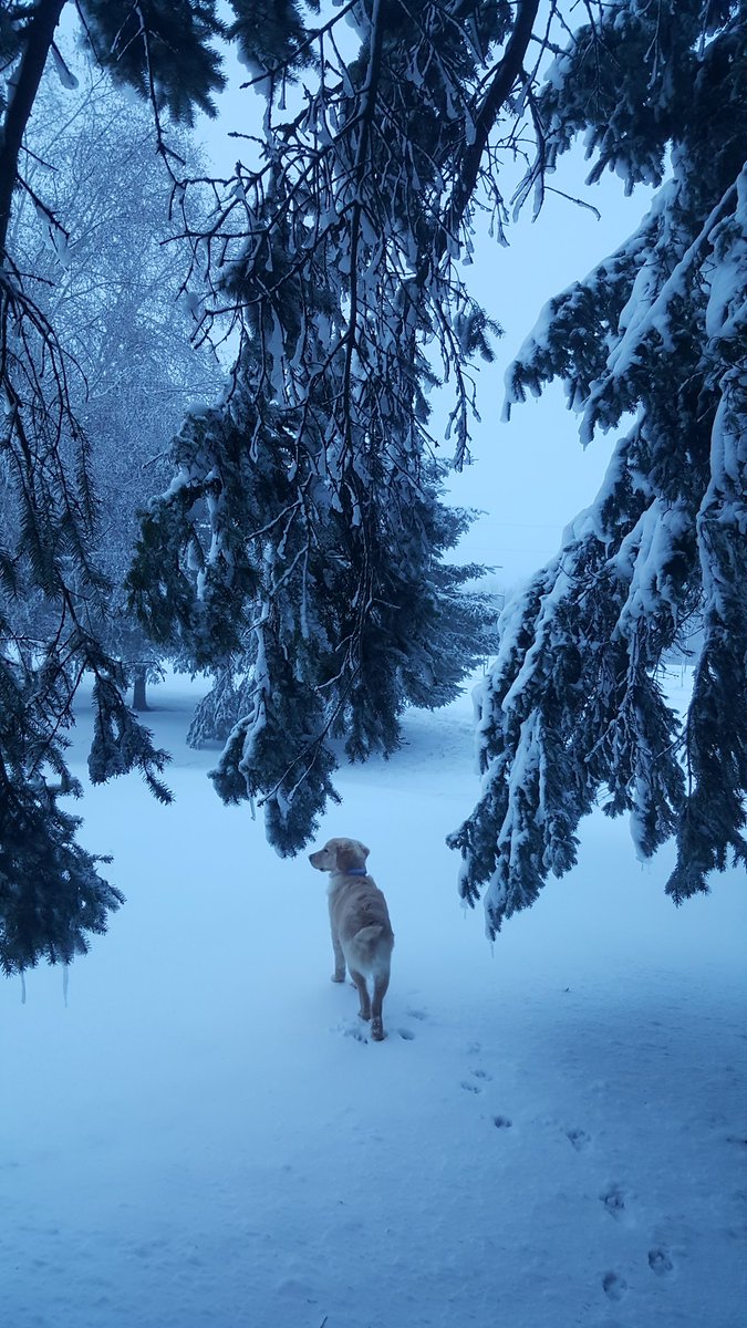 DeanMaahs's tweet image. We're not done yet! #PleaseBringTheSpring