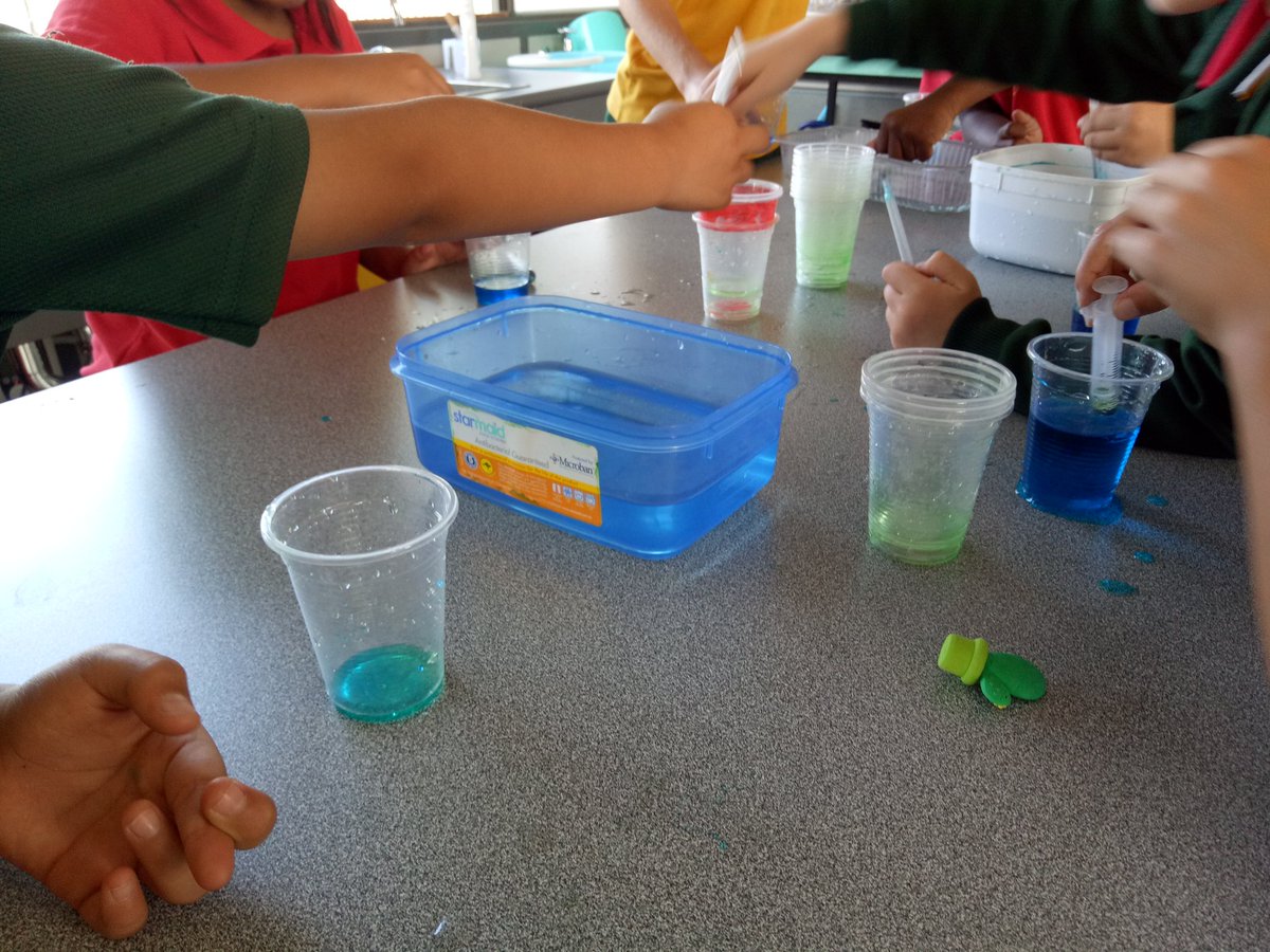 StVincentsPS's tweet photo. Our students have loved developing their scientific inquiry skills this term. #sciencespecialist #year2sciencefun https://t.co/p6ZtU7eDyZ