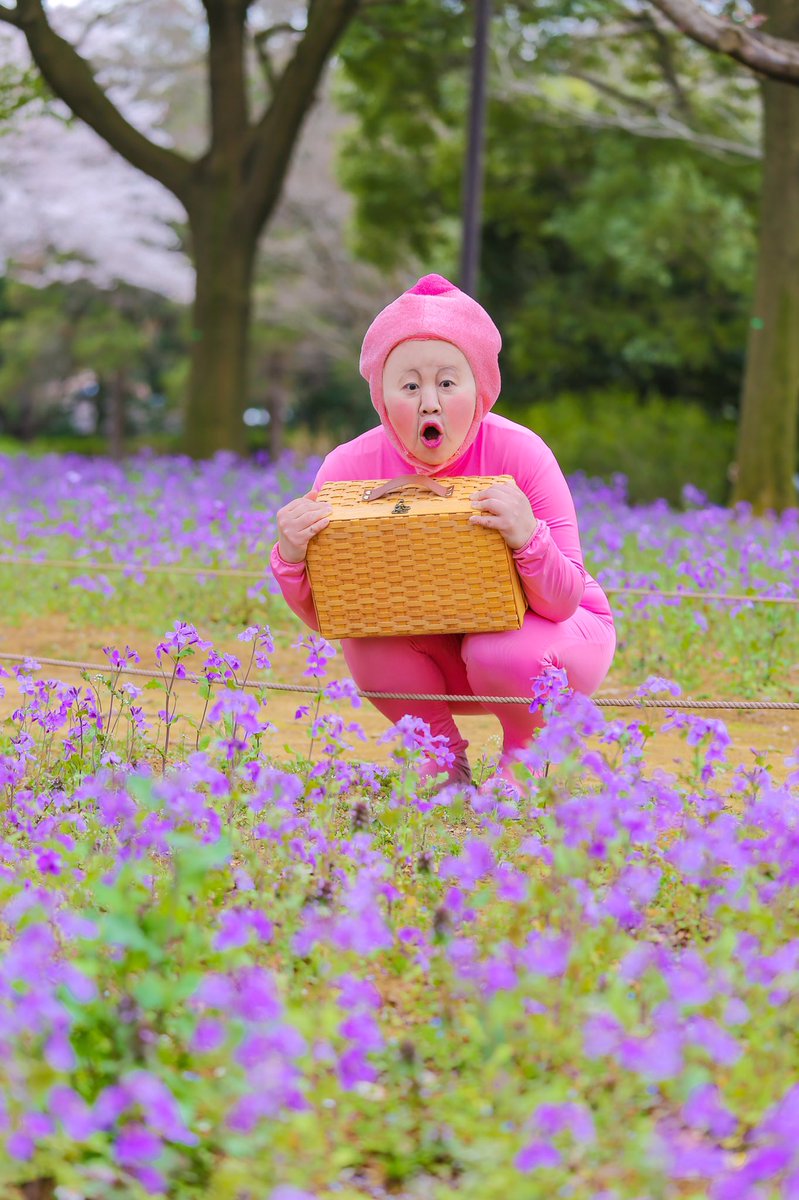 撮影写真 こびとづかん】 モモジリ 春の おでかけ こびとづかん