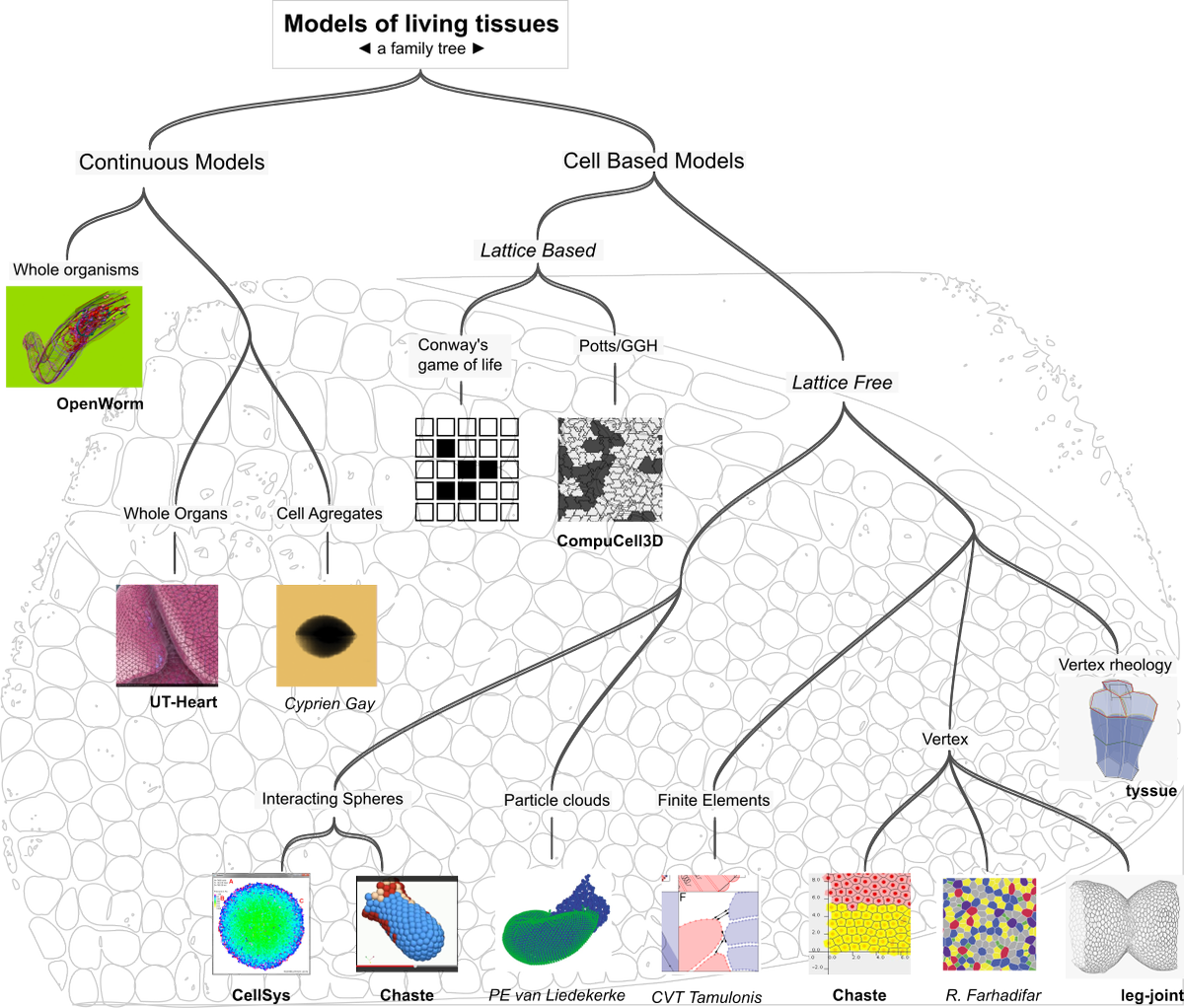 elagachado's tweet photo. Salut à tous,

Chers #biophysics tweetos Comment traduiriez-vous lattice-free et lattice-based en fr, pr 1 modèle de tissus? cc @frestagn https://t.co/nmPDKMBHoo