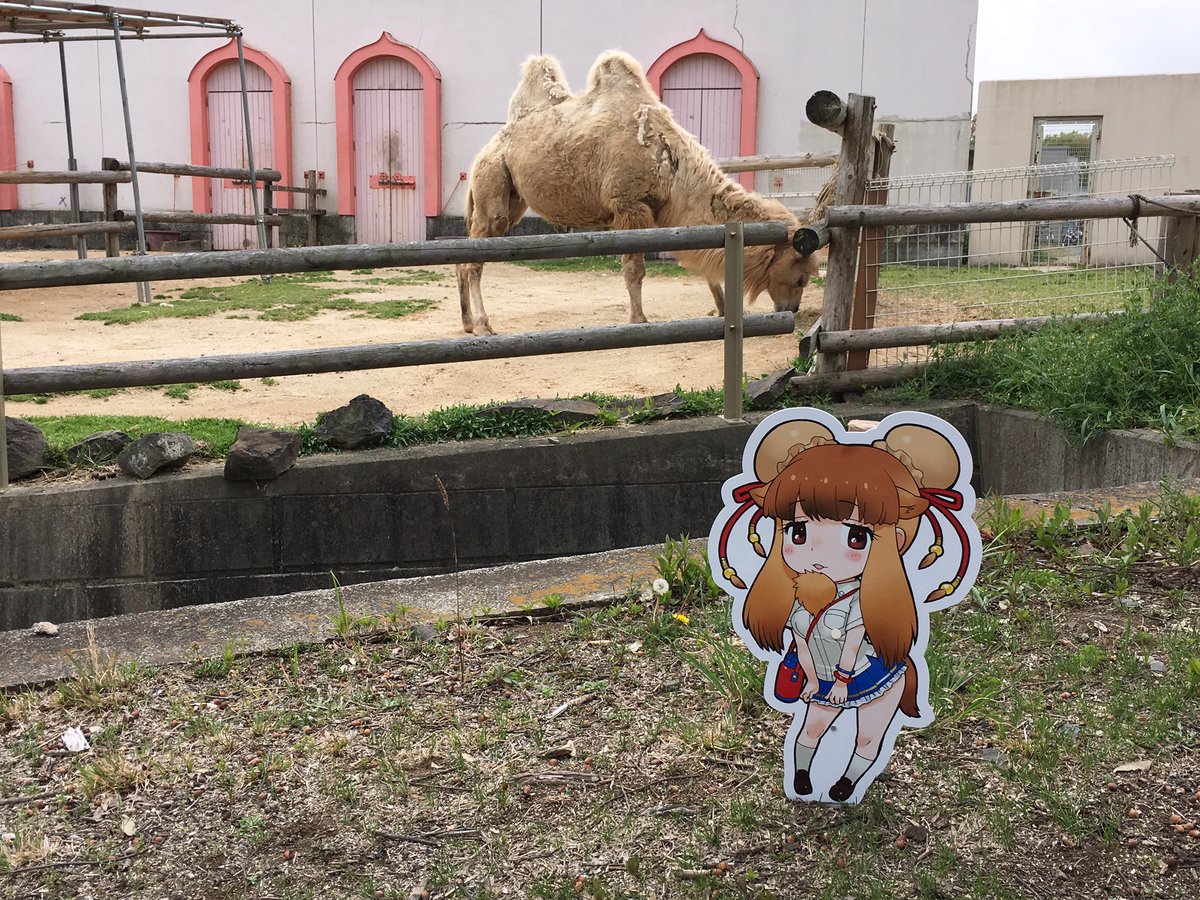 けものフレンズ 東武動物公園 26体のアニマルガールズたちを探す人たちの実況や園内アナウンス 特別ガイドなど Togetter けものフレンズ 東武動物公園 26体のアニマルガールズたちを探す人たちの実況や園内アナウンス 特別ガイドなど Togetter