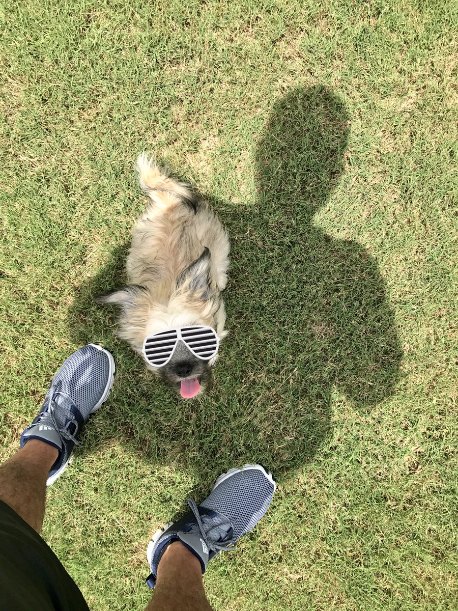 You know, I just gotta say. I make this look good. ☝️🐶