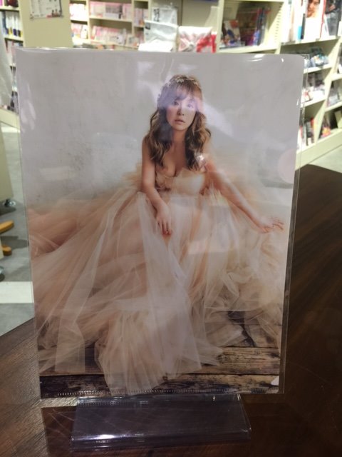 ViVi 6月号 ayumi hamasaki 特製クリアファイル付き ViVi 6月号 ayumi hamasaki 特製クリアファイル付き 浜崎あゆみ ViVi 6月号