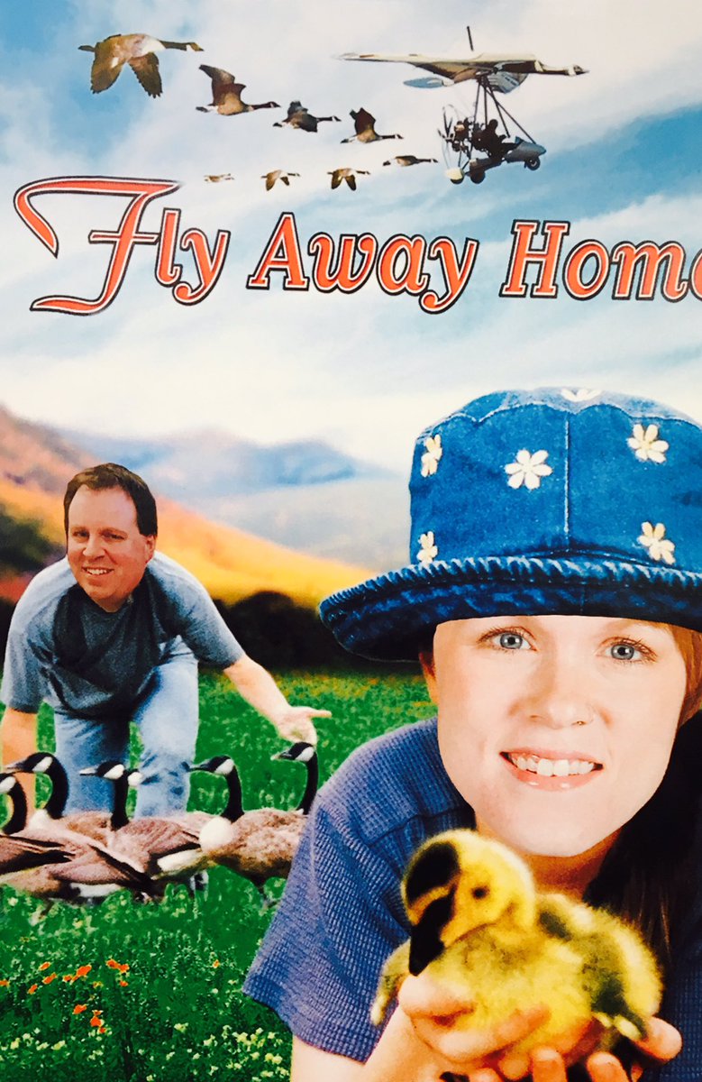 peatperformance's tweet image. Apparently this is what my colleagues think of me when the nesting window opens #ISLLife #biologistproblems #mamaduck 🐣🦆🐦