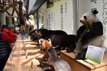 茨城新聞社 on X