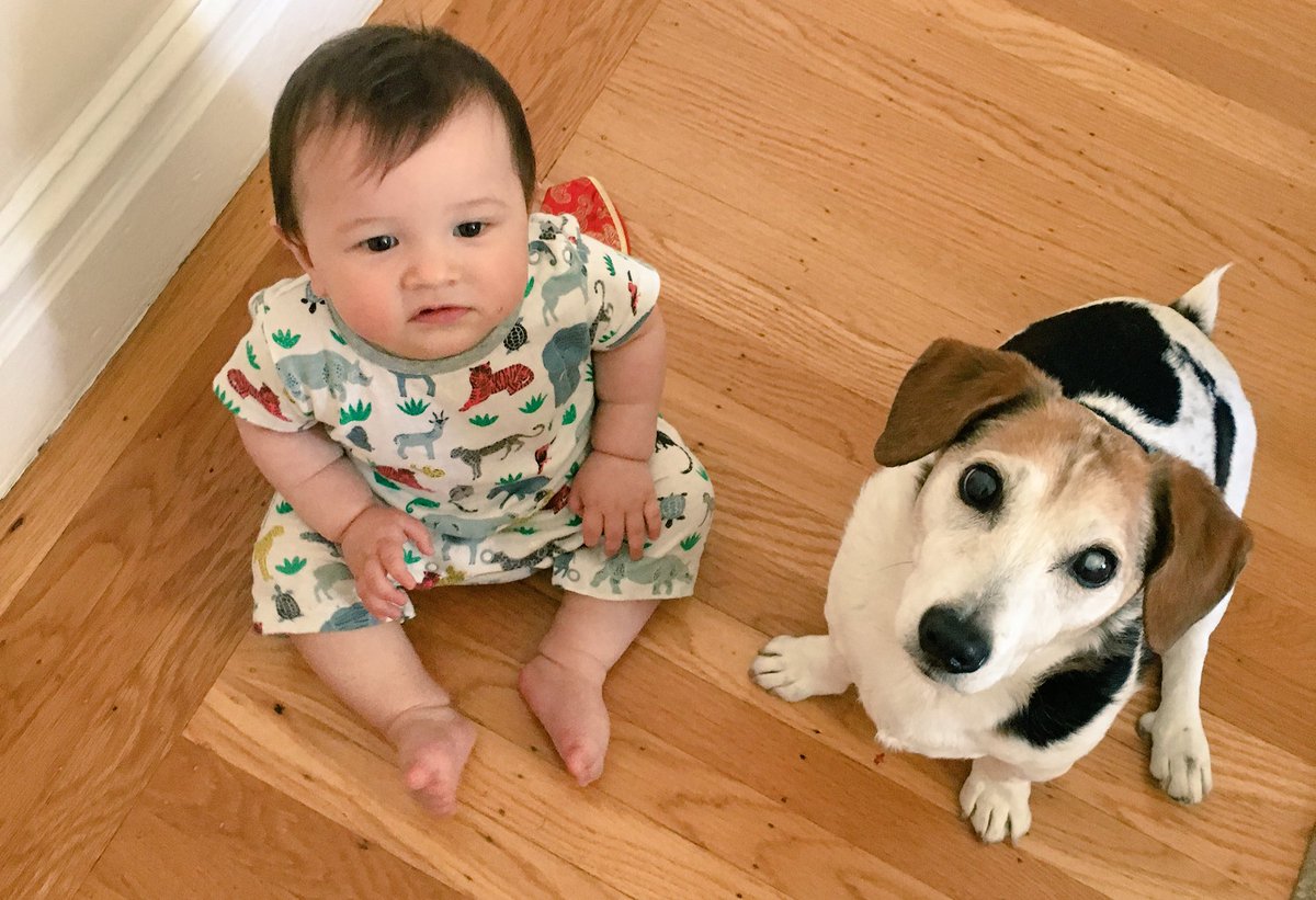 ernierubs's tweet photo. Me! Me! Give the scrambled egg bits to ME! https://t.co/w71ft1LhLA
