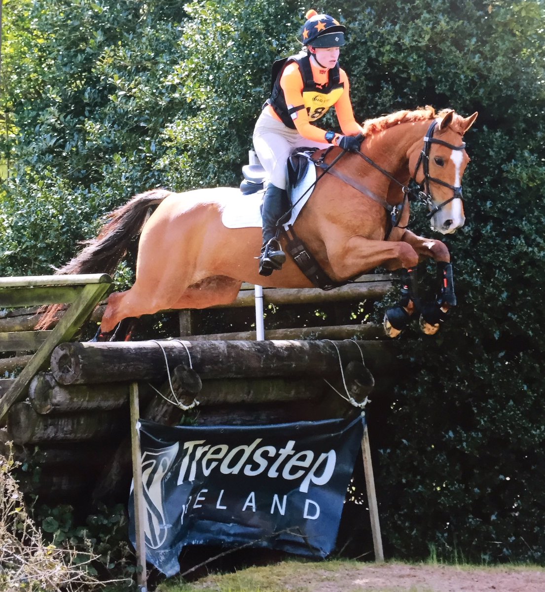 ArdernEventing's tweet photo. Good start to the season at Eland w/ a double clear in the BE100u18✅ https://t.co/b6r3xzsehL