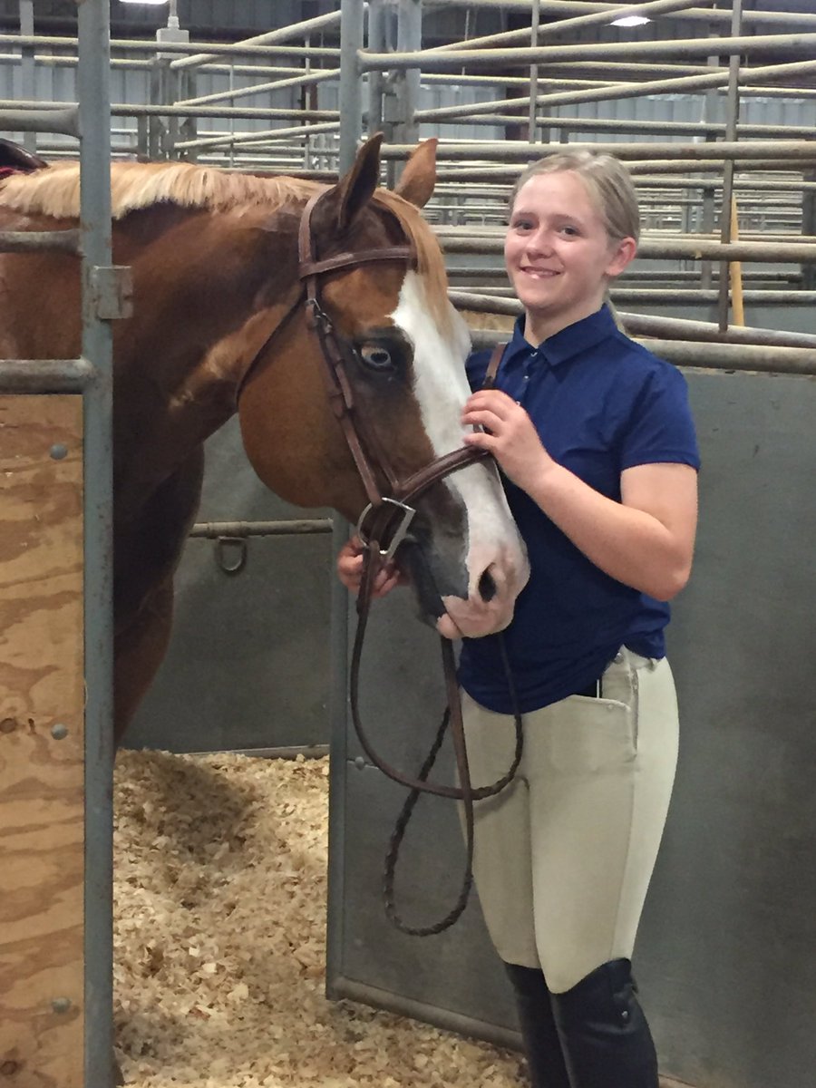 Getting ready for a TN APHA show with my handsome boy Fonzi <a href="/APHAnews/">American Paint Horse</a> <a href="/BooMajor1/">Boo Major</a> <a href="/GamecockEQ/">South Carolina Equestrian</a> <a href="/ktrfarms/">ktr farms</a>