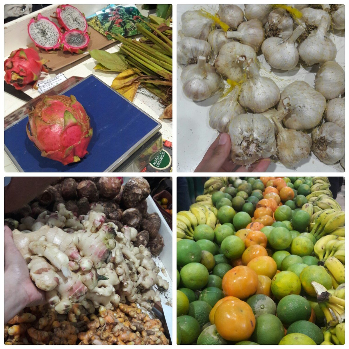 feriaverde's tweet photo. Nos fuimos para el 10 Encuentro Ampliado de la #RedEcoVida en #Erexim #Brasil #SPG #Organico #Delafincaalamesa https://t.co/6FH5yZHEkx