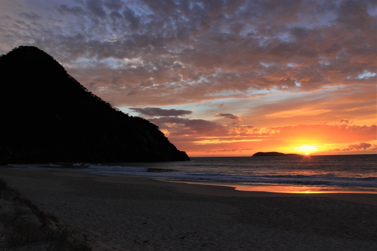 laurachaffey's tweet photo. Gorgeous #sunrise at #ZenithBeach this morning. https://t.co/ZCzZxsufhr