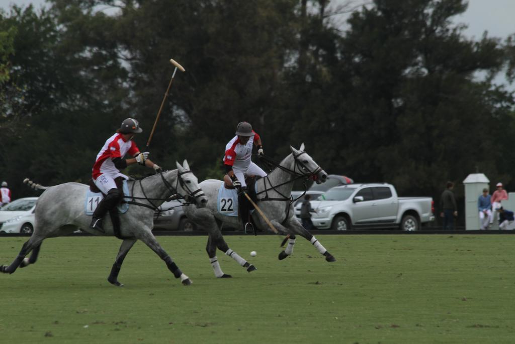 Copa Criadores 2 yeguas seleccionadas d 2do partido. Pite Gelatina (Granado/Rucula) y Pony Harina (Espiga/Dantesco)