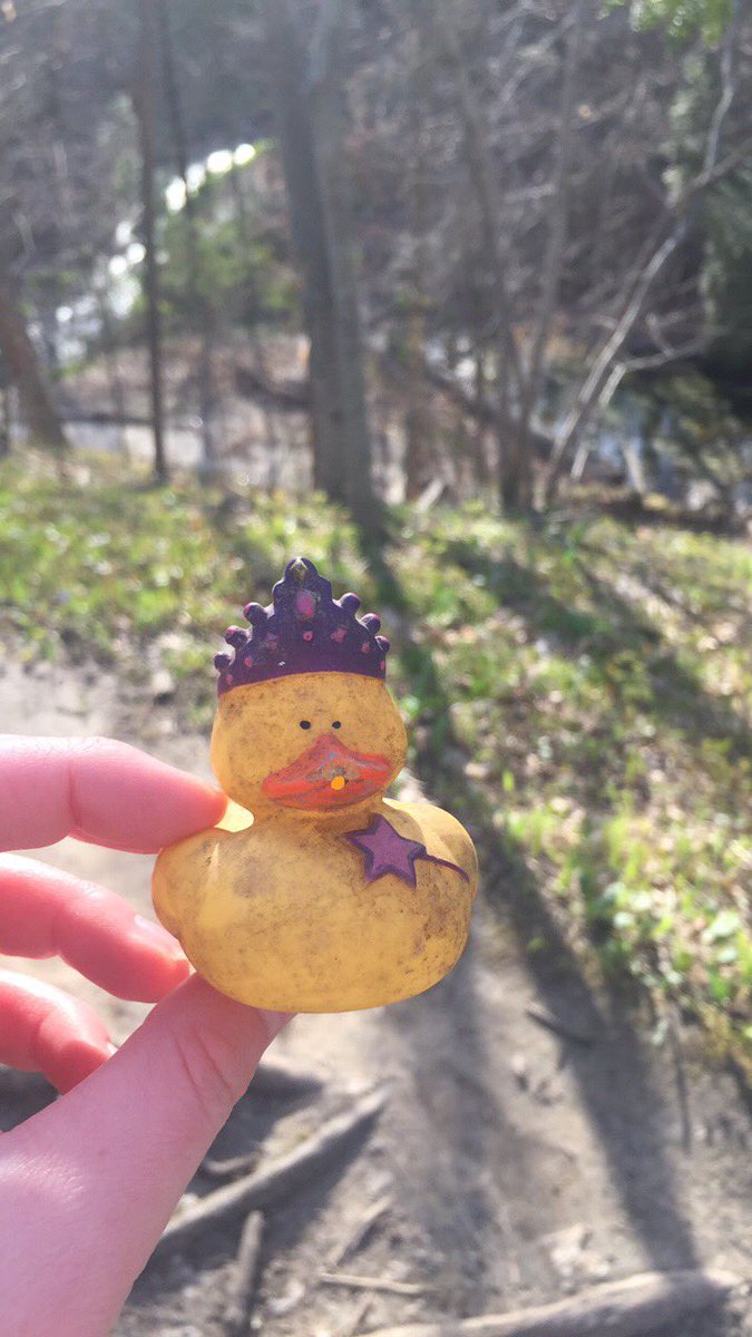 trisha2999's tweet photo. Went to Grant Park and found a duck! Who needs the ocean and warm weather?😂😭 #langbreak https://t.co/bmelWMFMvK