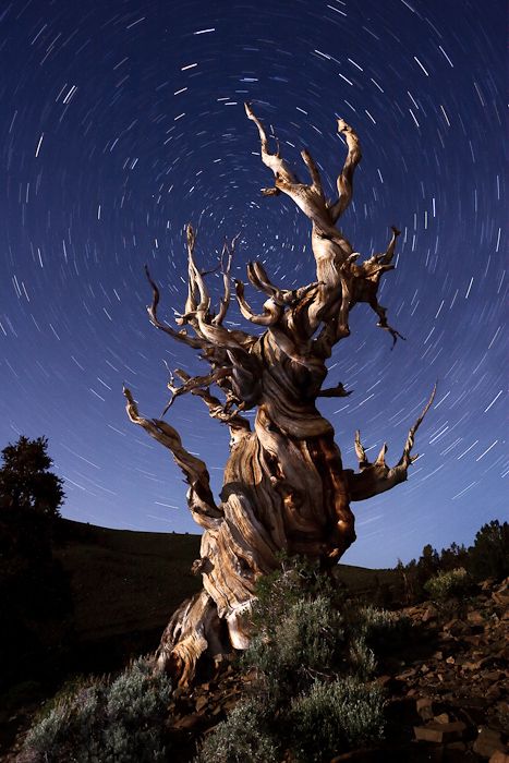 Suffering stillwatermagazine.com/2017/04/21/suf…