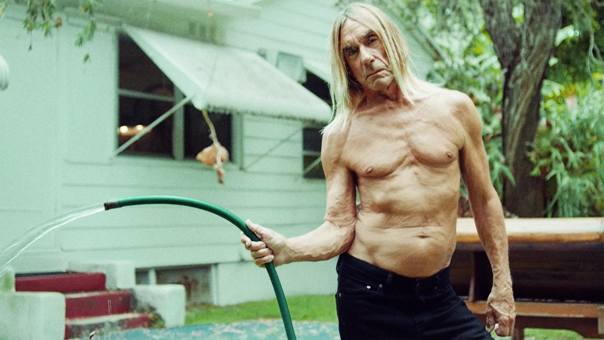 Happy Birthday Iggy Pop, now get off his lawn you punk kids 