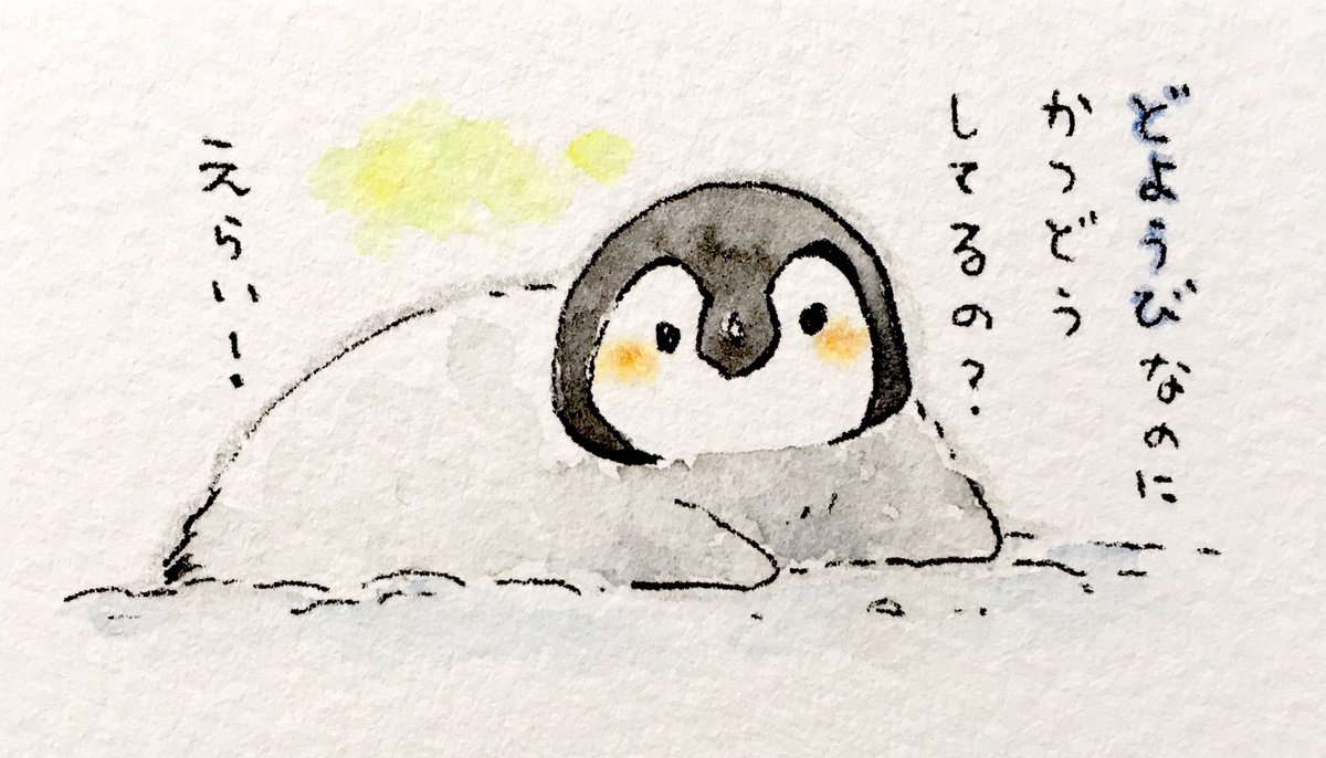 肯定ペンギンのあかちゃん Togetter