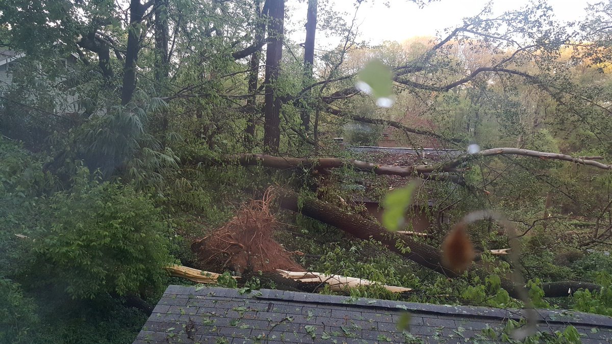 More #takoma park storm photos - my garage, driveway, &amp; yard