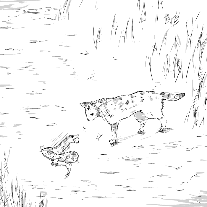 けものフレンズ イラストとかいろいろまとめ 6ページ目 Togetter けものフレンズ イラストとかいろいろまとめ 6ページ目 Togetter