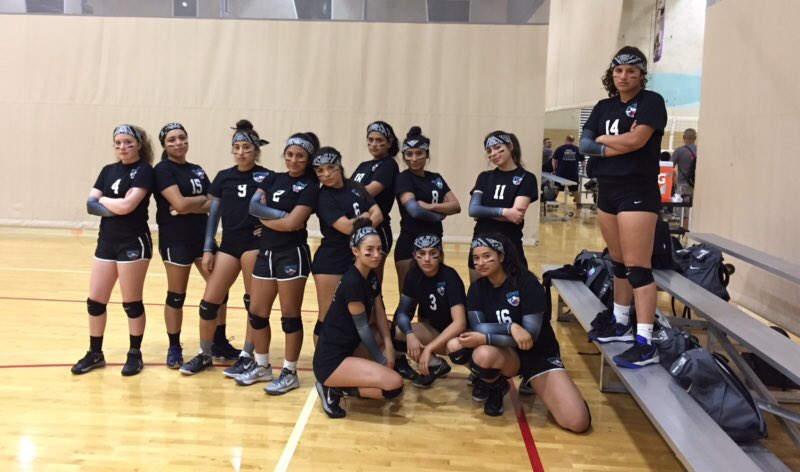 bee_micheller's tweet photo. Going to war, Kansas City here we come 🏐 https://t.co/KwfsqjIsmH