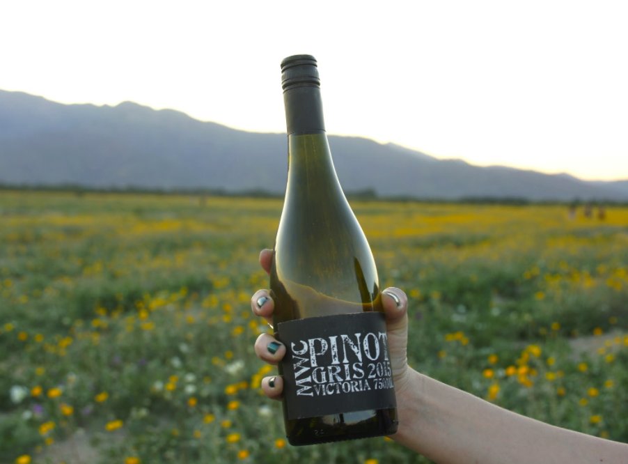 MWC_USA's tweet photo. MWC Pinot Gris pairs well with fresh mountain air, a field of wildflowers and your next adventure. https://t.co/4RQN6f12zo