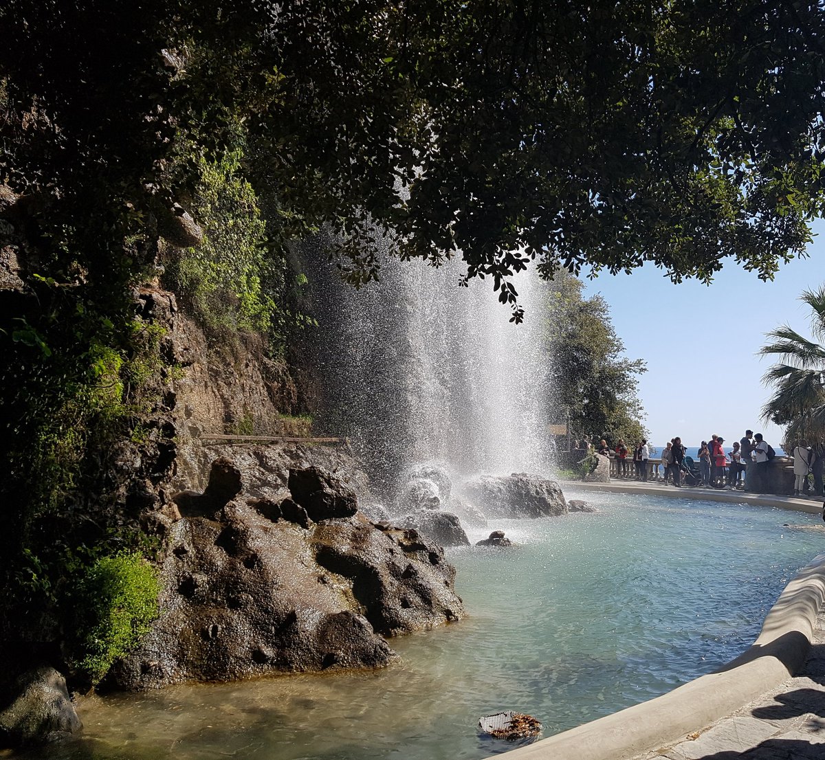 Sam Pitchley tweet media