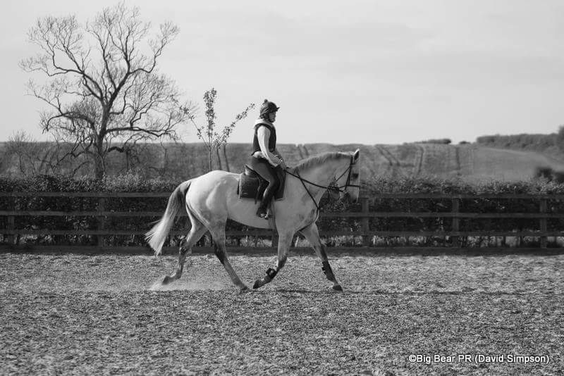 Davids_Ewhere's tweet image. Took some pics of my old friend, Argentato at Fern Farm on Tuesday as he practised for his dressage test with Gracie #GoPointing #godancing