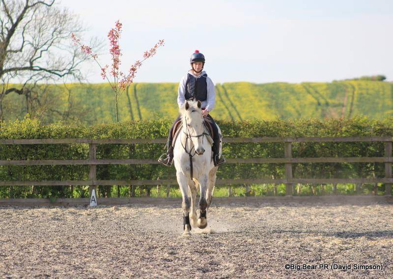 Davids_Ewhere's tweet image. Took some pics of my old friend, Argentato at Fern Farm on Tuesday as he practised for his dressage test with Gracie #GoPointing #godancing