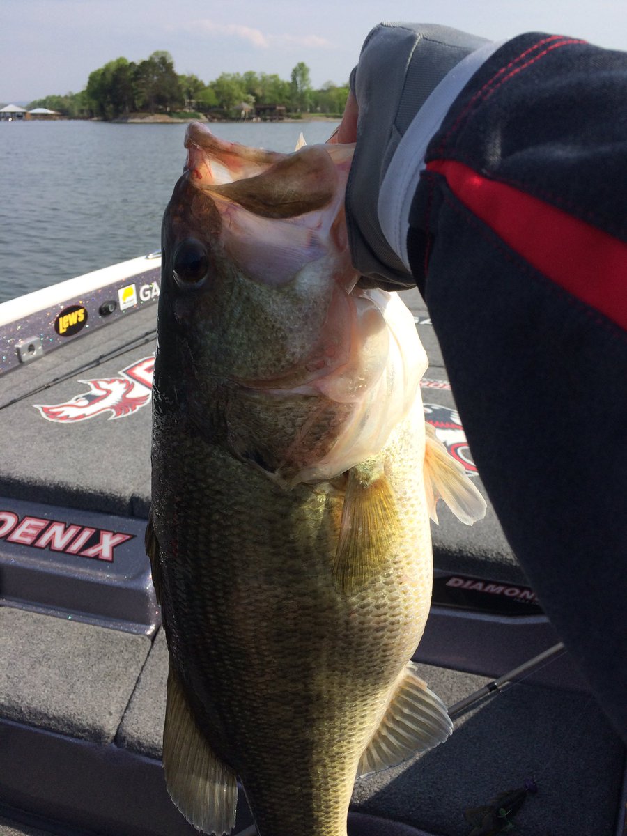 CCMorgenthaler's tweet photo. Five of these will go a long way tomorrow! Due in at 3 o'clock. #bassopen #chickamauga https://t.co/JTpL9qz6Qo
