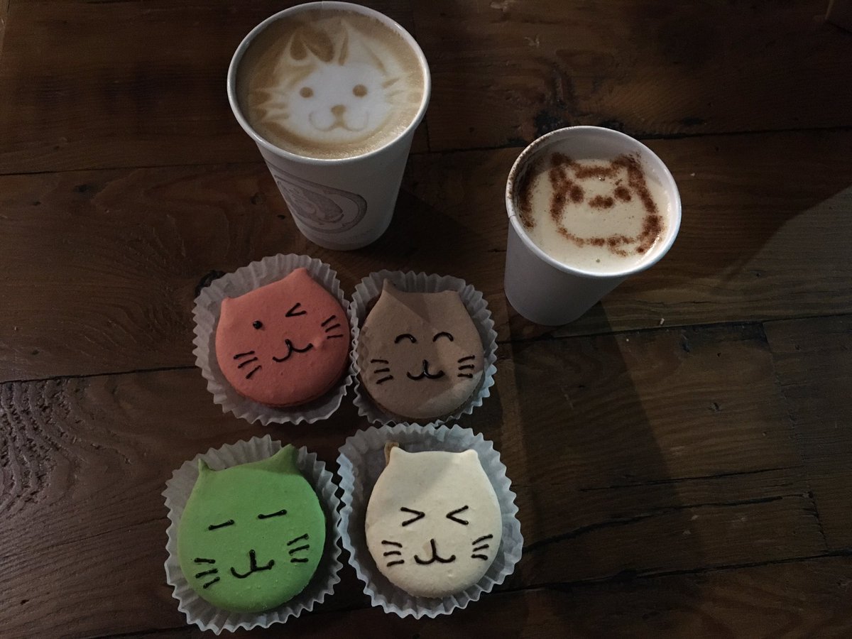 Wallflower_808's tweet photo. @toram06 @sassy_gri There's a cat cafe in my neck of the woods. If you're ever in town, kitty macaroon on me 😊 https://t.co/8JZ0KG7Ghu