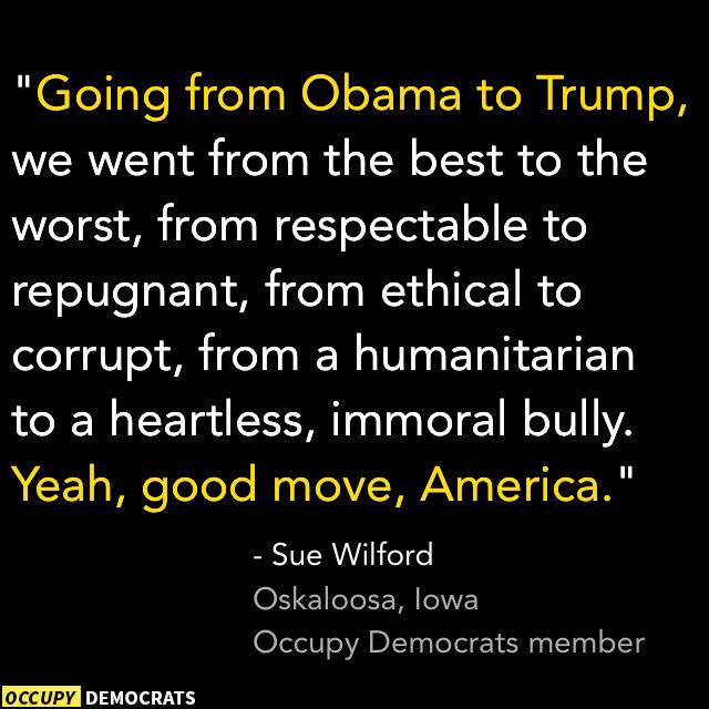 StopTrump2020's tweet photo. Best to worst ✅
Respectable to Repugnant✅
Ethical to corrupt✅
Humanitarian to Heartless✅
#NotMyPresident https://t.co/JVcOYm89vn