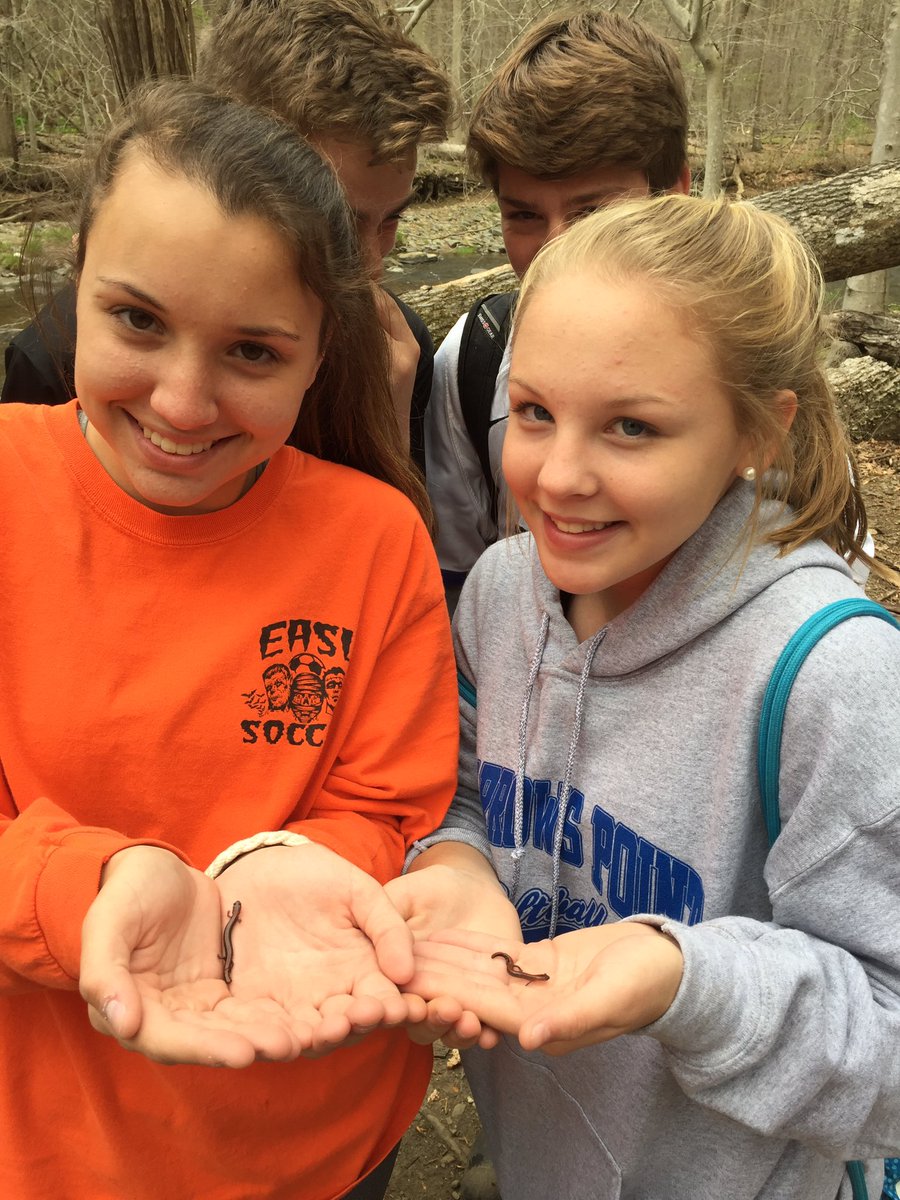 budinger03's tweet photo. Investigating amphibians round 2. This time at Jerusalem Mill @GunpowderSP @SparrowsPointHS @BCPSOutdoorSci https://t.co/8zWgn5UlAk