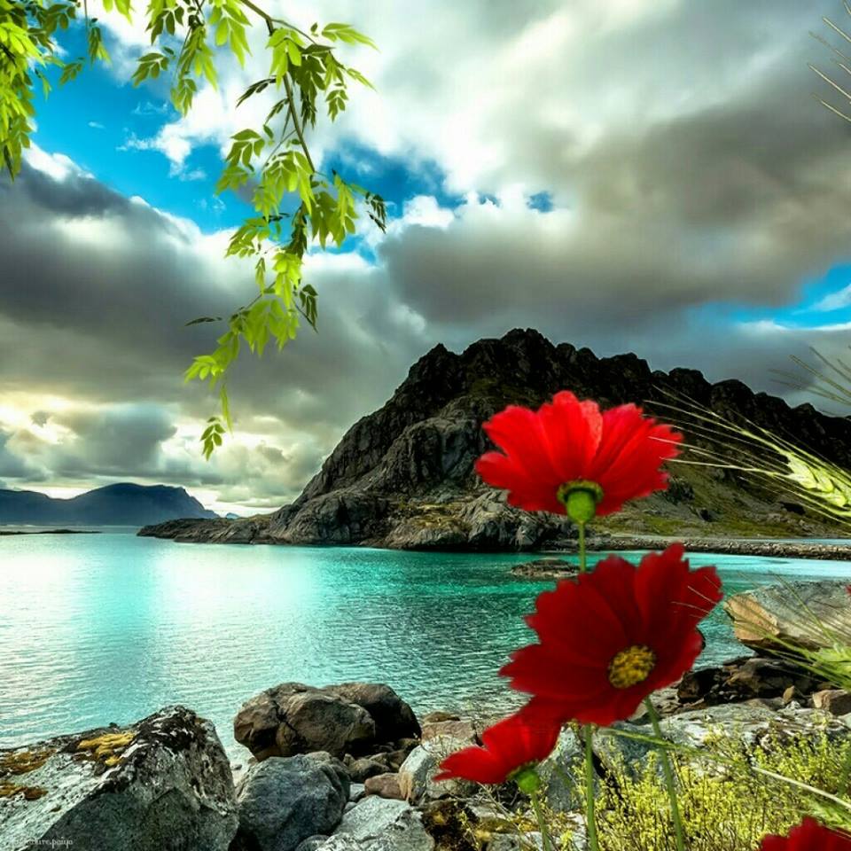 🌸Citlaly🌸 tweet media