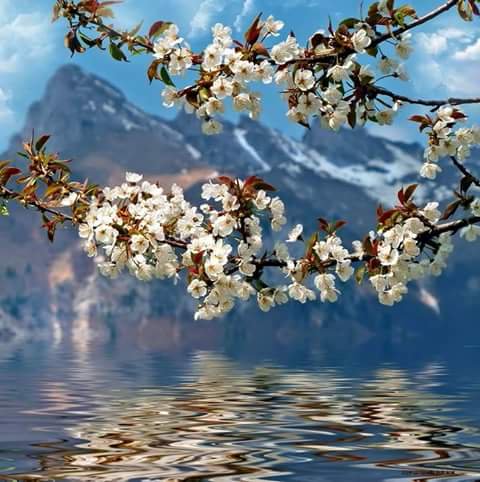 🌸Citlaly🌸 tweet media