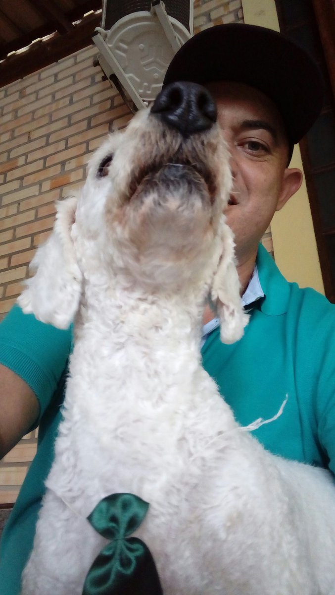 GelsonGa's tweet photo. Melhor amigo do homem https://t.co/NmaAtDl5yl