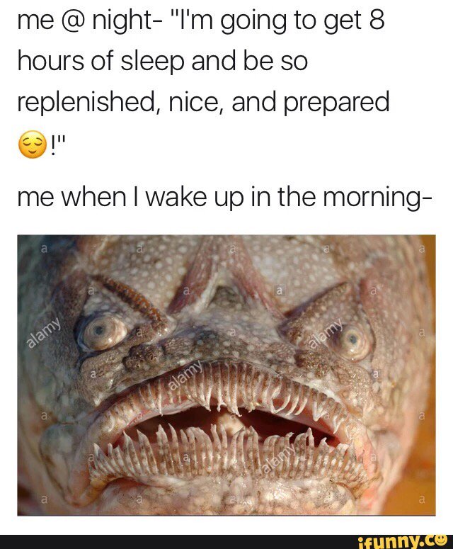 DDCarson97's tweet image. #Feature #AlternateFeatures #pepsi #iFunny ifunny.co/fun/RibnDGhk4