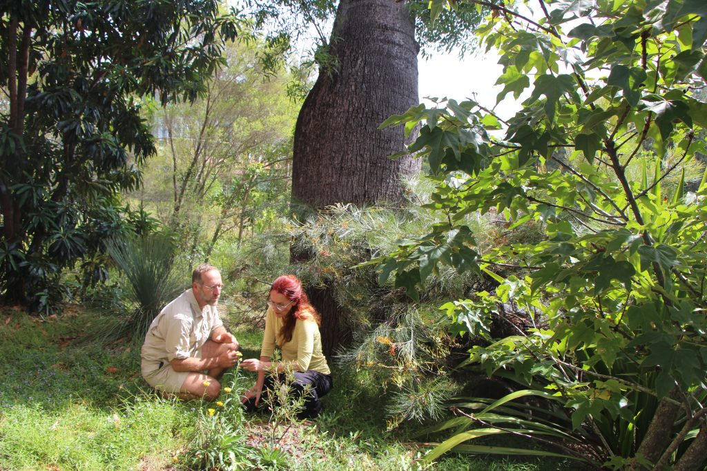 Griffith_Uni's tweet photo. Get your green thumb out with #GroNATIVE developed by @Griffith_ENV collaborating with #NaturaPacific @AdvanceQld 🌿 https://t.co/8pNQf3DlXp https://t.co/4RGcYCuQBB
